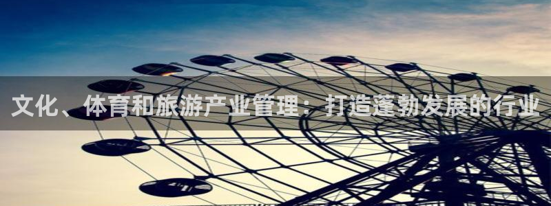 必一体育电子app：