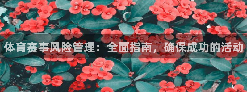 必一运动官网入口：体
