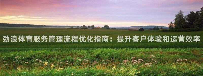 必一体育怎么下载：劲