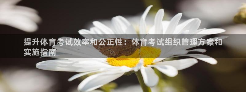 必一体育在线登录：提