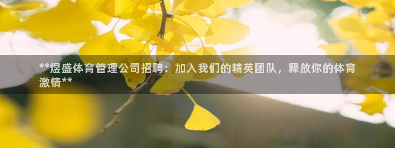 必一体育在线官网：*