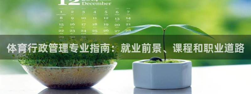 必一体育旧版：体育行