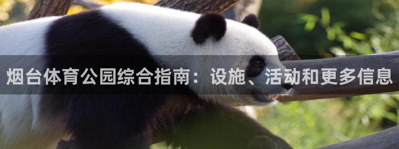必一体育sport网