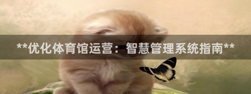 必一体育在线登陆：*