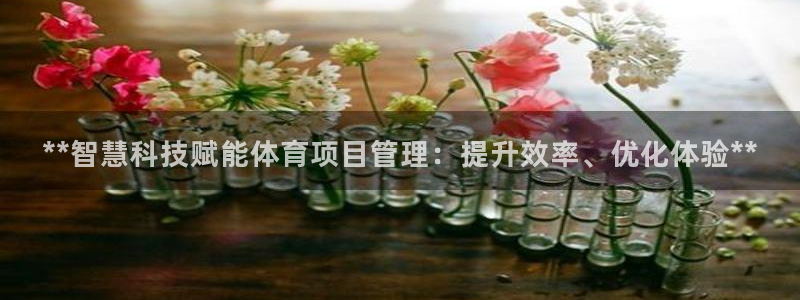 必一体育在线下载：**智慧科技赋能体育项目管理：提升效率、优