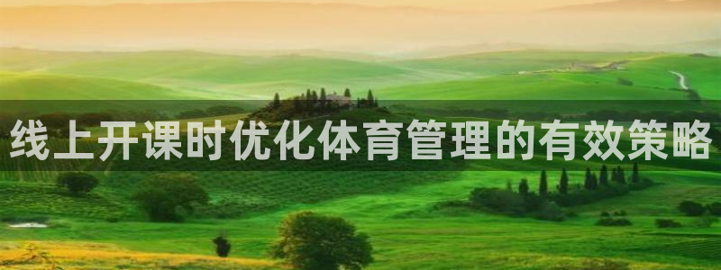 必一体育合法吗：线上