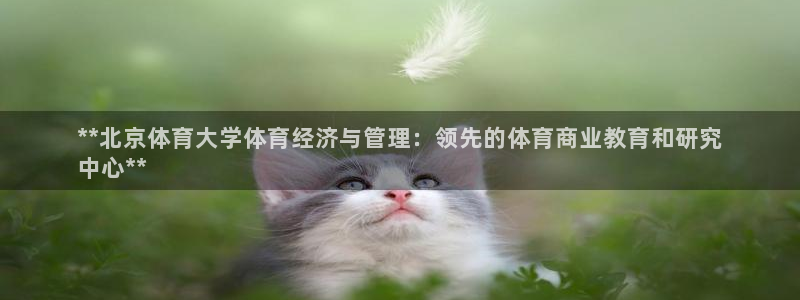 必一体育在线官网：*