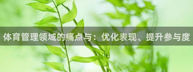 必一体育运动平台官网