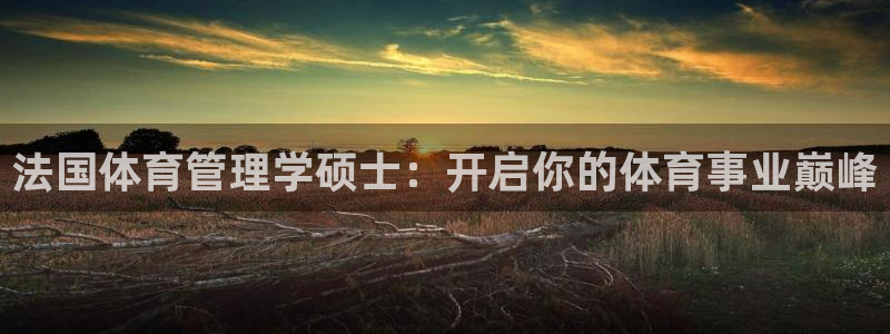 必一体育运动官网：法国体育管理学硕士：开启你的体育事业巅峰