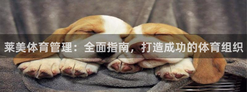 Bsport体育必一