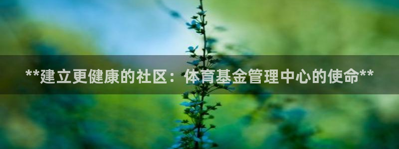 必十二和必一的副作用：**建立更健康的社区：体育基金管理中心
