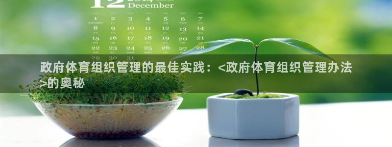 必一体育游戏玩法：政