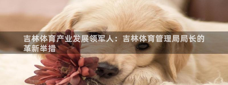 必一体育下载app下