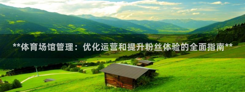 必一体育最新官网入口