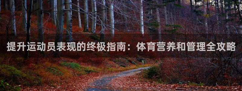 必一体育app官方网