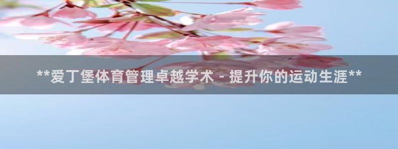 必一体育服下载最新版