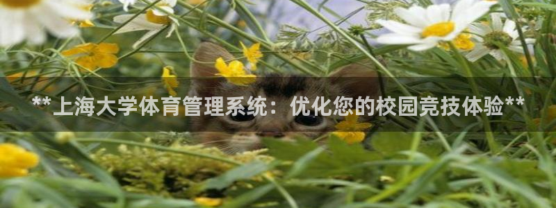必一运动·体育：**