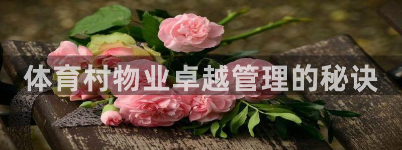 必一运动sport网