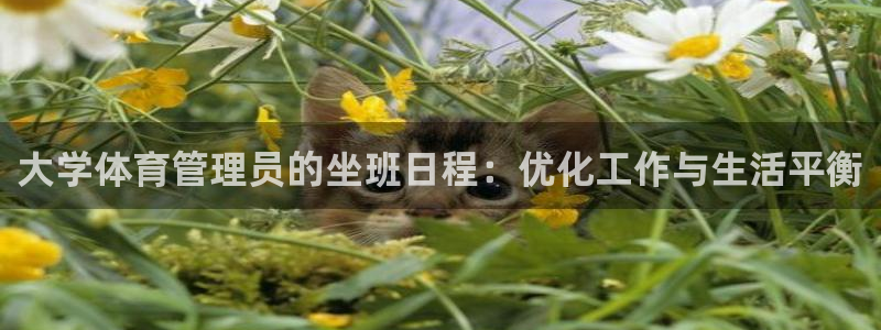 必一体育官网网址：大