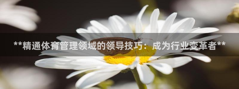 必一体育在线玩：**精通体育管理领域的领导技巧：成为行业变革