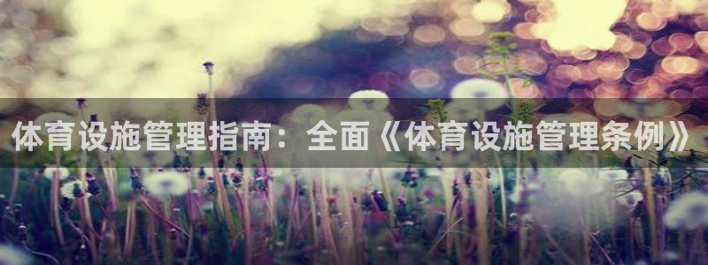 必一体育是哪里的台子