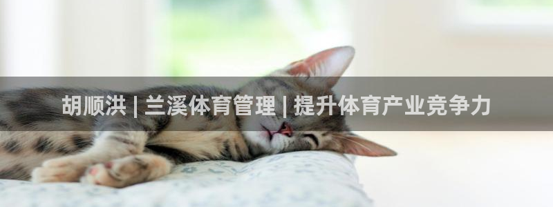 必一运动体育app：
