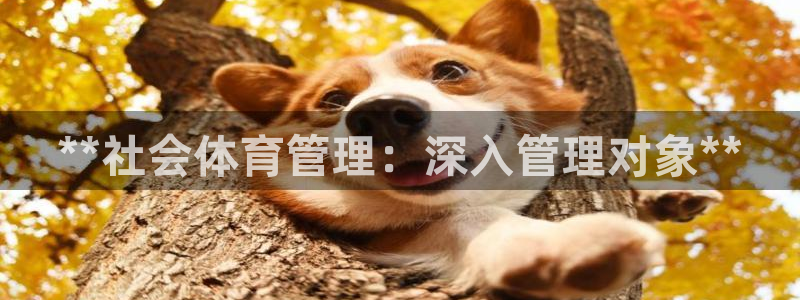 必一运动·(B-sp