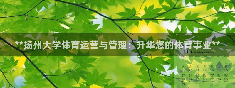 必一体育网页登陆：*