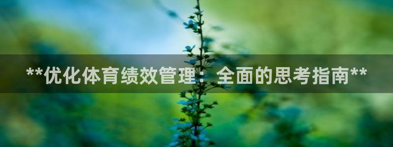 必一体育官方网站入口