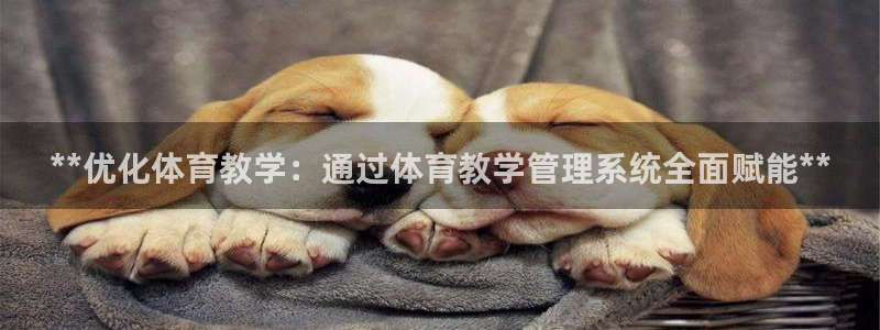 必一体育登录APP下
