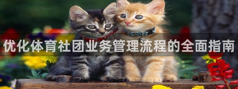 b体育必一运动网页版