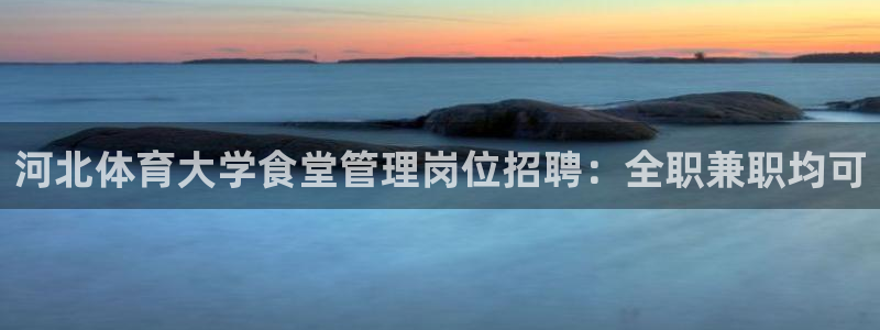必一体育登录APP下