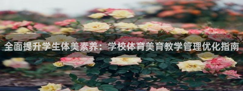 必一运动体育官网下载