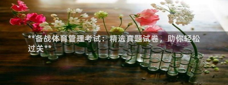 必一体育最新官网入口