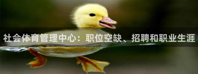 必一运动tieba.