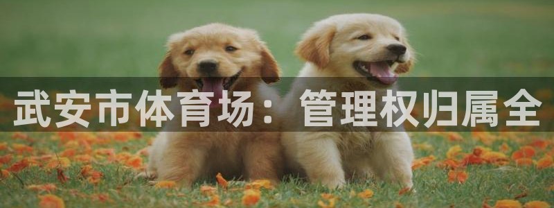 必一运动短信：武安市