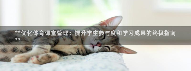 必一体育app官方网
