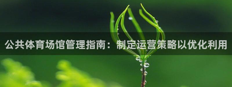 必一体育bsport