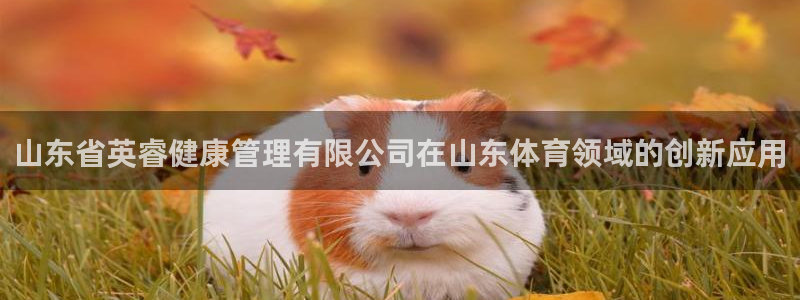 必一体育下载秀给网：