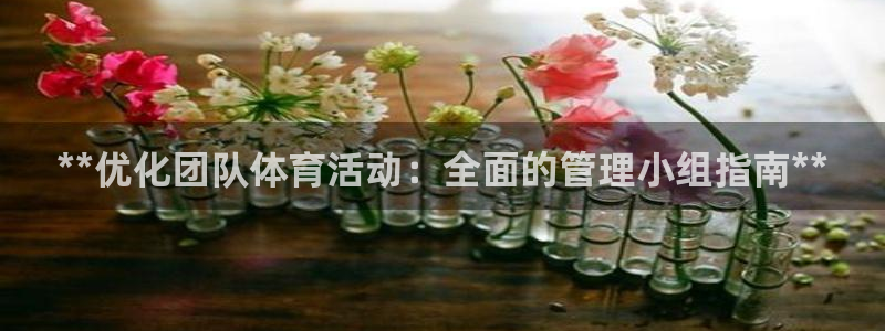 必一体育是啥：**优