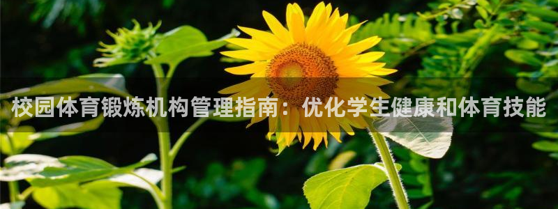必一运动·(B-sp