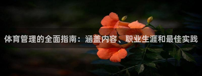 必一体育在线入口：体