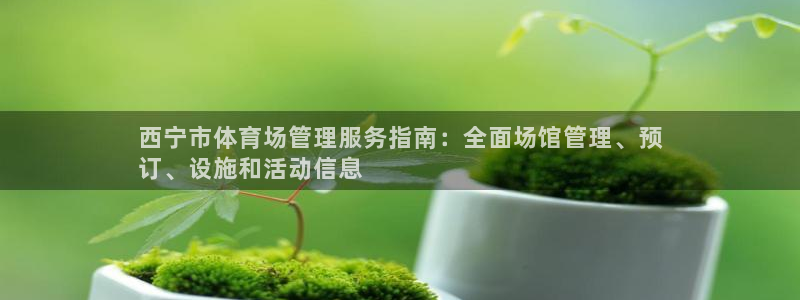 必一体育在线下载：西