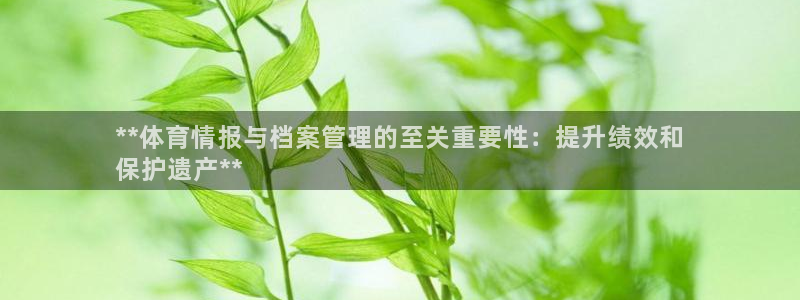 必一体育官方app下