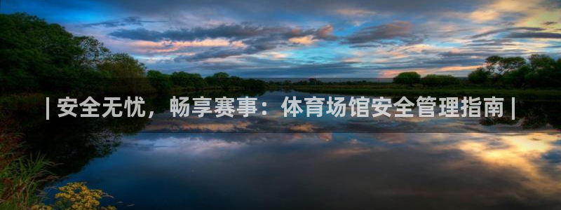 必一体育官方网站入口