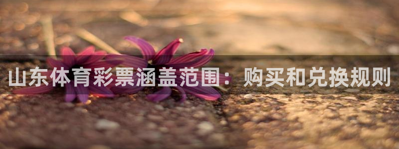 必一体育下载秀给网：