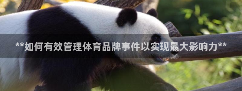 必一运动sport爱