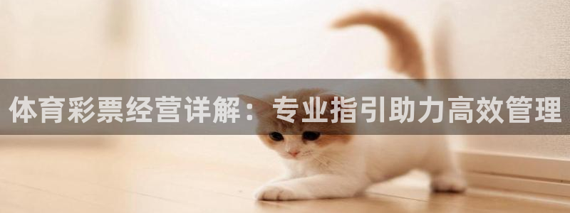 必一体育电子app：