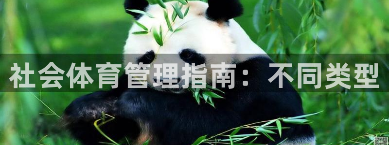 必一运动sport爱