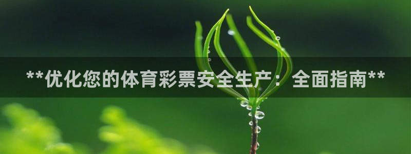 必一体育bsport